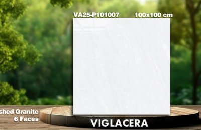 GẠCH GRANITE (100×100) VIGLACERA VA25-P101007