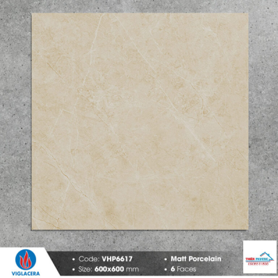 Gạch lát nền nhà Viglacera 60x60 đá mờ VHP6617