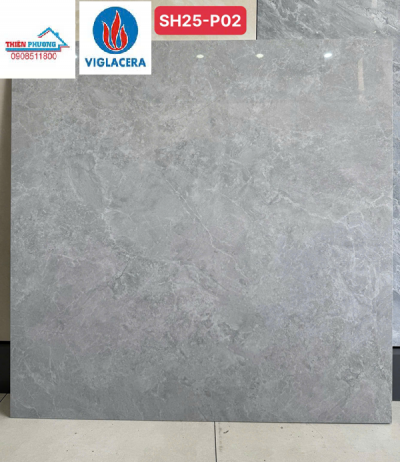 GẠCH ỐP 100X100 VIGLACERA SH25-P02