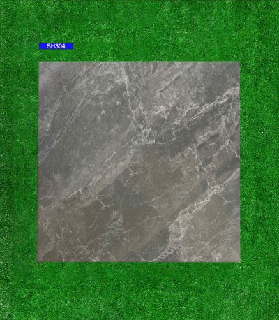 GẠCH VIGLACERA 30X30 SH304