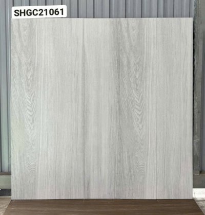 GẠCH VIGLACERA 20X100 SHGC 21061