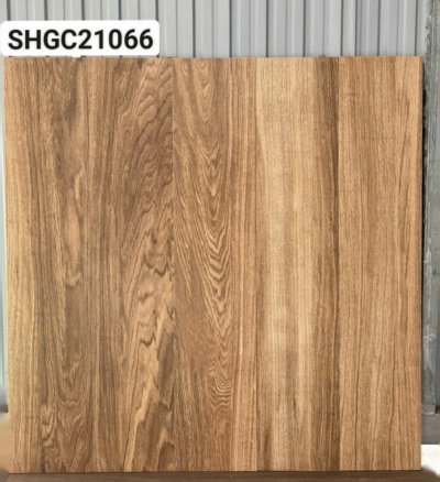 GẠCH VIGLACERA 20X100 SHCG21066