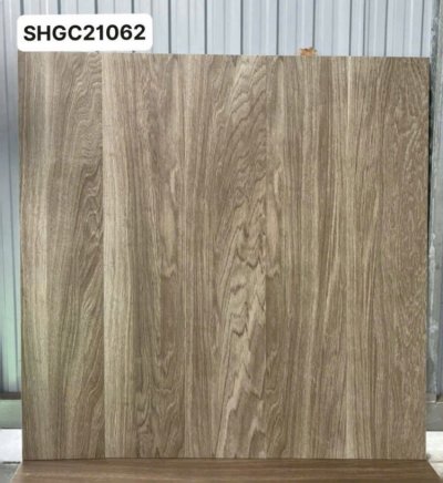 GẠCH VIGLACERA 20X100 SHGC21062