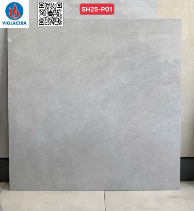 GẠCH 100X100 VIGLACERA SH25 - P01