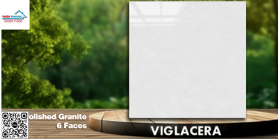 GẠCH GRANITE (100×100) VIGLACERA VA25-P101001