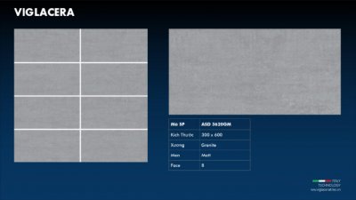 GẠCH GRANITE (30X60) VIGLACERA ASD 3620GM