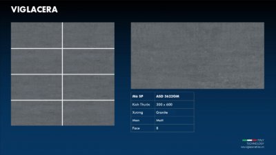 GẠCH GRANITE 30X60) VIGLACERA  ASD 3622GM