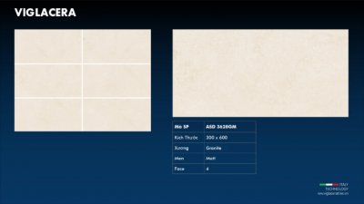 GẠCH GRANITE (30X60) VIGLACERA ASD 3628GM