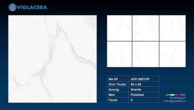 GẠCH GRANITE (80X80) VIGLACERA ASD 8801GP