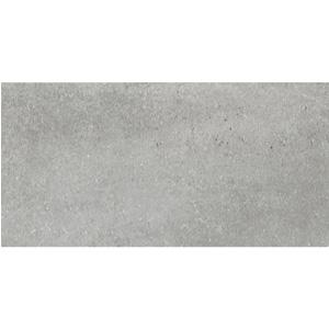 GẠCH ĐỒNG TÂM PORCELAIN CHỐNG TRƯỢT 3060GECKO008
