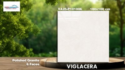 GẠCH GRANITE (100×100) VIGLACERA VA25-P101006
