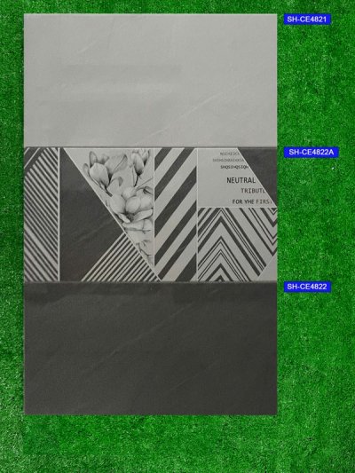 Gạch 40x80 Viglacera Ceramic SH-CE4821