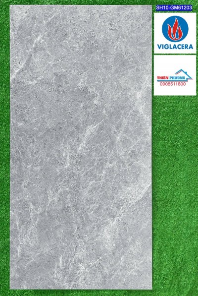Gạch 60×120 Viglacera đá mờ SH10-GM61203
