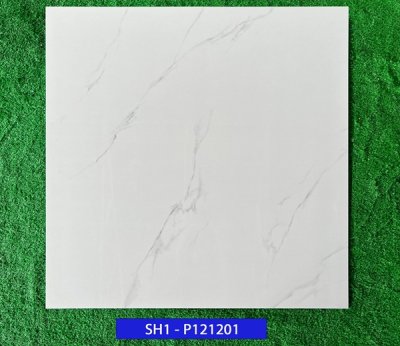 Gạch lát nền 120x120 Viglacera SH1-P121201
