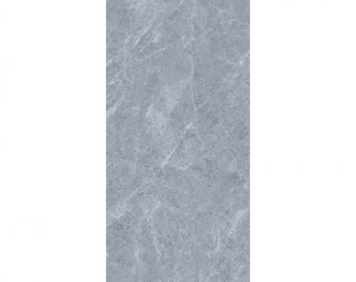 Gạch 60x120 Viglacera SH10_GM61203