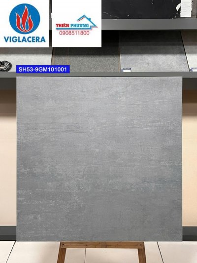 Gạch lát nền 1mx1m Viglacera SH53-9GM101001