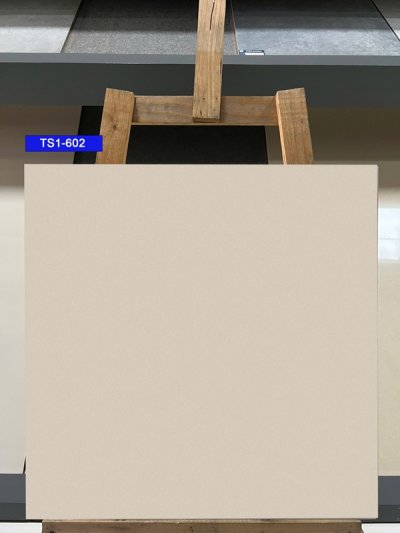 Gạch lát nền 60x60 Viglacera TS5-602