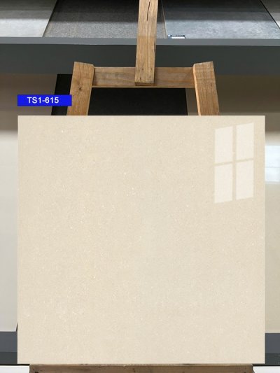 Gạch lát nền 60x60 Viglacera TS1-615