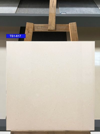 Gạch lát nền 60x60 Viglacera TS1-617