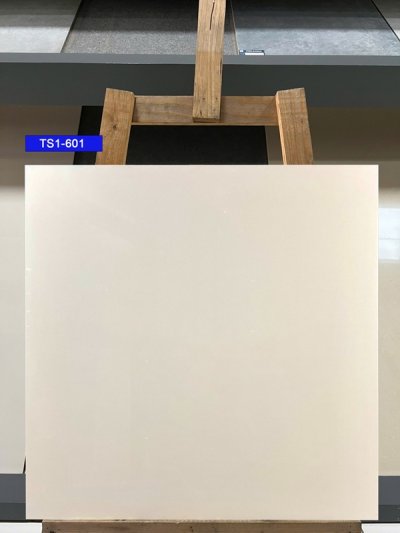 Gạch lát nền 60x60 Viglacera TS5-601