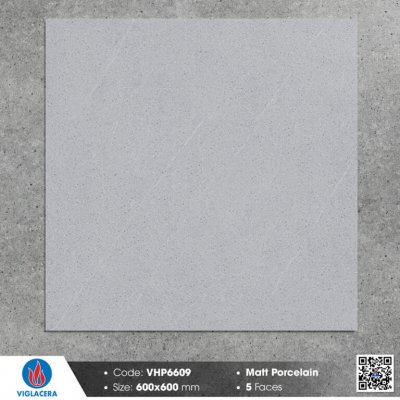 Gạch ốp nền 80x80 Viglacera VHP6609