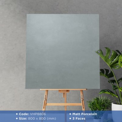 GẠCH ỐP VIGLACERA 80X80 VHP8806