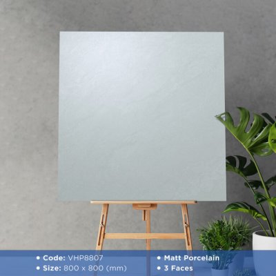 GẠCH VIGLACERA 80X80 VHP8807