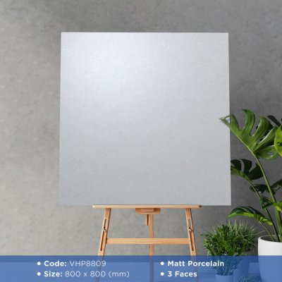 GẠCH VIGLACERA 80X80 VHP8809