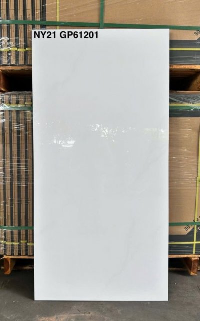 Gạch 60×120 Viglacera đá mờ NY21-GP61201